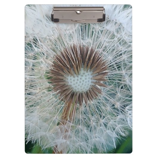 Porte-bloc Joli Dandelion blanc (Devant)