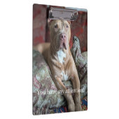 Porte-bloc Joli Pit Bull (Swatch)