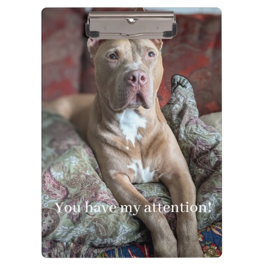 Porte-bloc Joli Pit Bull (Devant)
