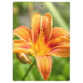 Porte-bloc Jolie grande fleur Lily photo (Dos)