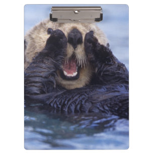 Porte-bloc Jolie loutre de mer   Alaska, États-Unis
