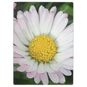 Porte-bloc Jolie marguerite (Dos)