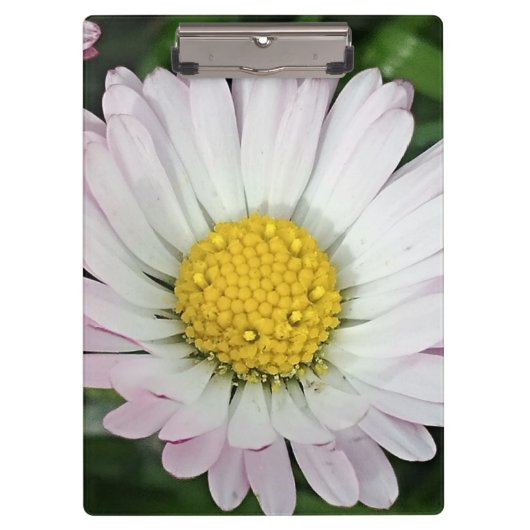 Porte-bloc Jolie marguerite (Devant)