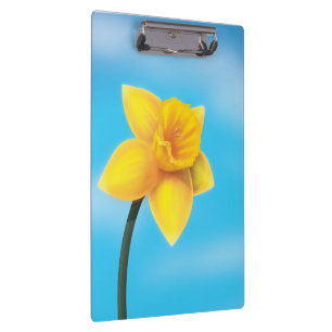 Porte-bloc Jonquille jaune vif