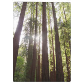 Porte-bloc Jusqu'aux séquoias du matin (Dos)