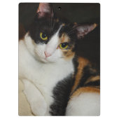 Porte-bloc Juste en train de se pendre (Dos)