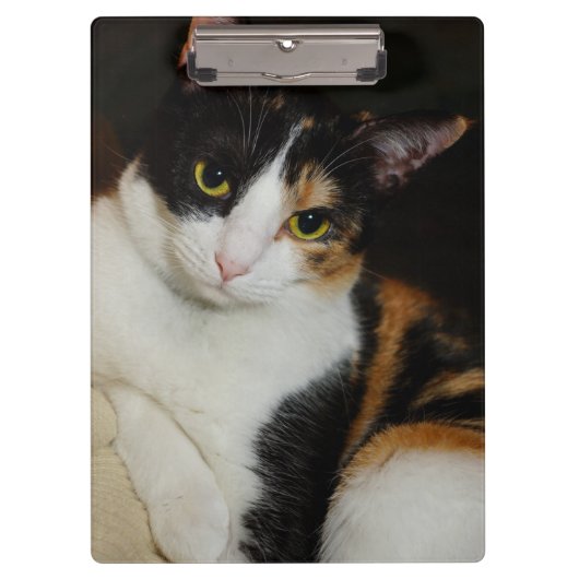 Porte-bloc Juste en train de se pendre (Devant)