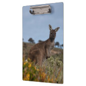 Porte-bloc Kangaroo Australie Photo (Gauche)