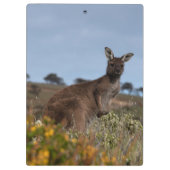 Porte-bloc Kangaroo Australie Photo (Dos)