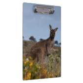 Porte-bloc Kangaroo Australie Photo (Swatch)
