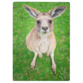 Porte-bloc Kangourou de bébé des images | de Getty (Dos)