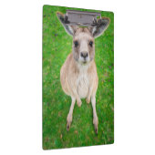 Porte-bloc Kangourou de bébé des images | de Getty (Swatch)