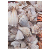 Porte-bloc Key West, coquillages (Dos)