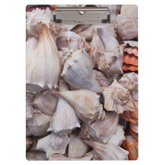 Porte-bloc Key West, coquillages (Devant)