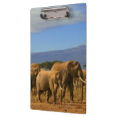 Porte-bloc Kilimanjaro et éléphants (Gauche)