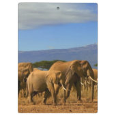Porte-bloc Kilimanjaro et éléphants (Dos)