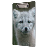 Porte-bloc Kit de Fox arctique des images | de Getty (Gauche)