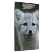 Porte-bloc Kit de Fox arctique des images | de Getty (Swatch)