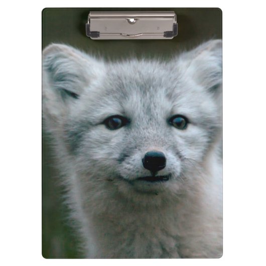 Porte-bloc Kit de Fox arctique des images | de Getty (Devant)