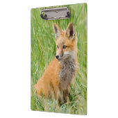 Porte-bloc Kit Renard rouge dans l'herbe près de la tanière (Gauche)