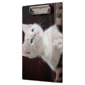 Porte-bloc Kitten blanc vulnérable (Gauche)