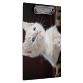 Porte-bloc Kitten blanc vulnérable (Swatch)