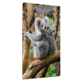Porte-bloc Koala avec bébé dans un arbre en Australie (Swatch)