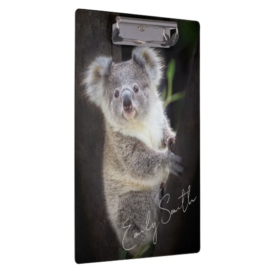 Porte-bloc Koala Bear (Swatch)