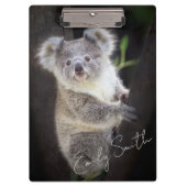 Porte-bloc Koala Bear (Devant)