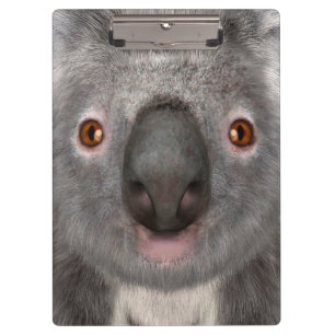 Porte-bloc Koala Bear