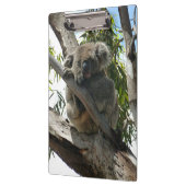 Porte-bloc Koala - Dormir (Gauche)