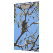 Porte-bloc Koala Nap (Gauche)