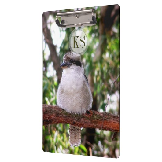 Porte-bloc Kookaburra Bird Australie Porte - bloc photographi (Gauche)