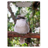 Porte-bloc Kookaburra Bird Australie Porte - bloc photographi (Devant)