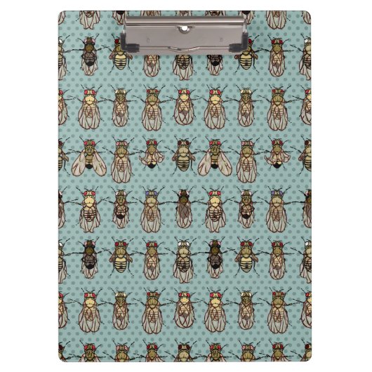 Porte-bloc La génétique de mouche à fruit de drosophile - (Devant)