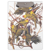 Porte-bloc La perruque de Caroline d'Audubon (Devant)