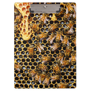 Porte-bloc La ruche d'abeilles avec le peigne de miel