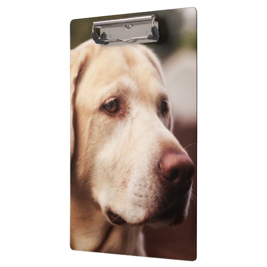 Porte-bloc Labrador retriever (Gauche)