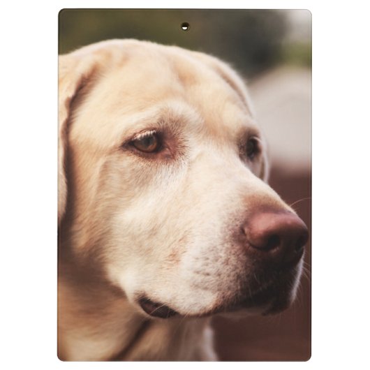 Porte-bloc Labrador retriever (Dos)