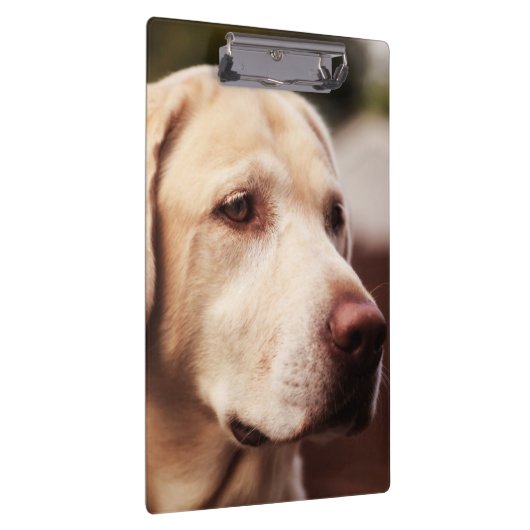 Porte-bloc Labrador retriever (Swatch)