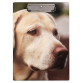 Porte-bloc Labrador retriever (Devant)