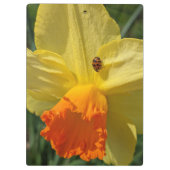 Porte-bloc Ladybug sur la jonquille jaune Floral (Dos)