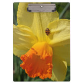 Porte-bloc Ladybug sur la jonquille jaune Floral (Devant)