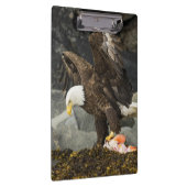 Porte-bloc L'aigle chauve ultime (Swatch)