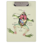 Porte-bloc L'anatomie de la grenouille personnalisée (Devant)