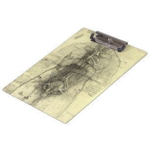 Porte-bloc L'anatomie humaine de Léonard de Vinci, Torse fémi