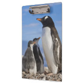 Porte-bloc L'Antarctique, crique de Neko (port). Pingouin 2 (Gauche)