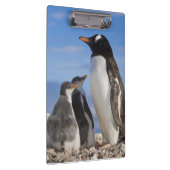Porte-bloc L'Antarctique, crique de Neko (port). Pingouin 2 (Swatch)