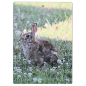Porte-bloc Lapin (Dos)