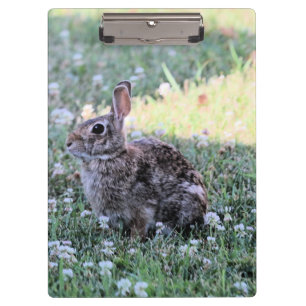 Porte-bloc Lapin